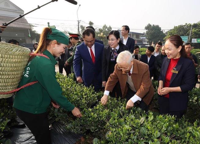 Party General Secretary Nguyen Phu Trong visits a tea garden of the Hao Dat Cooperative in Thai Nguyen city .(January 10, 2023). (Photo: VNA)