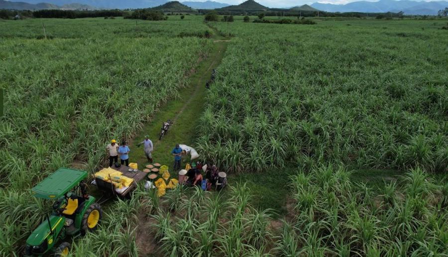 Sự hợp t&aacute;c giữa PVFCCo v&agrave; TTC AgriS g&oacute;p phần mang đến những vụ m&iacute;a bội thu.