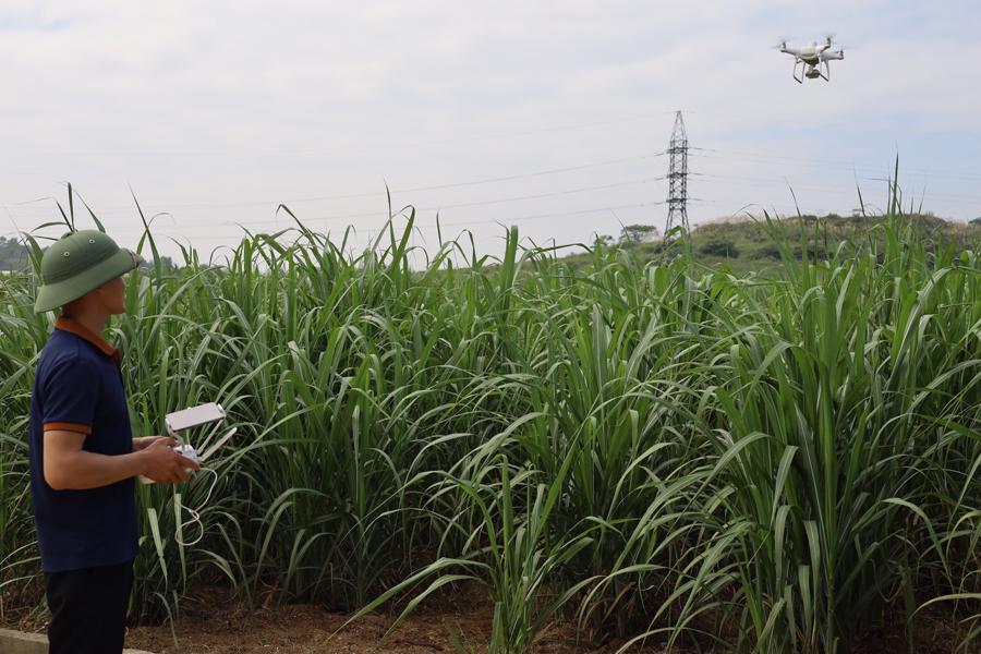 Smart technology application to control drones for agricultural production.