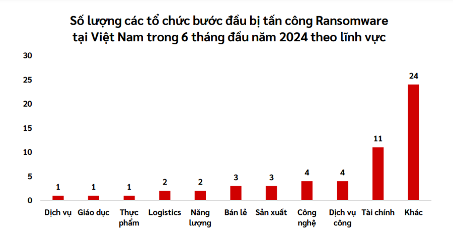 Hơn 61 triệu tài khoản, bản ghi thông tin cá nhân bị lộ lọt trong nửa đầu năm 2024 - Ảnh 1