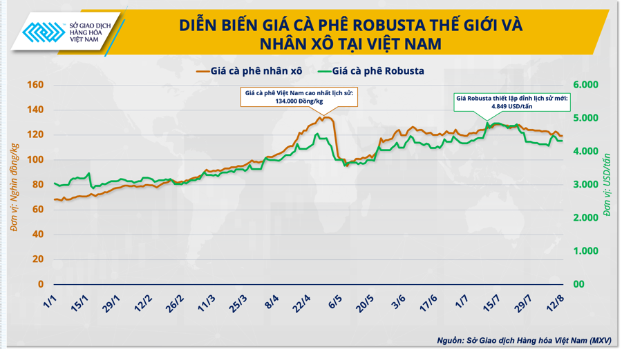 Diễn biến gi&aacute; c&agrave; ph&ecirc; Robusta thế giới v&agrave; gi&aacute; c&agrave; ph&ecirc; Việt Nam năm 2024.