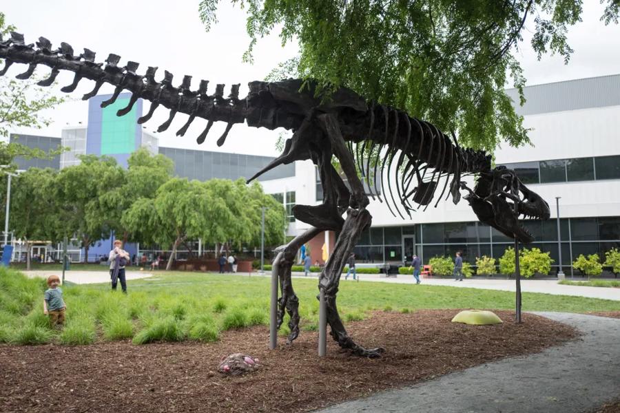 T&aacute;c phẩm đi&ecirc;u khắc T-Rex trong khu&ocirc;n vi&ecirc;n Googleplex.