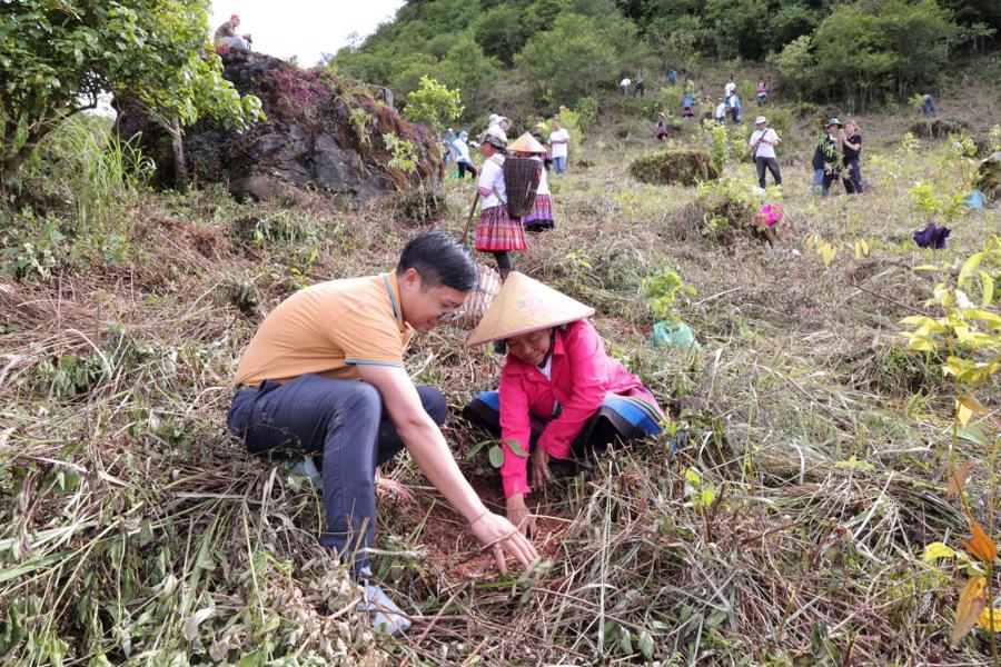 Trồng 25 ha rừng tại x&atilde; Hang Kia v&agrave;o ng&agrave;y 20/8/2024.