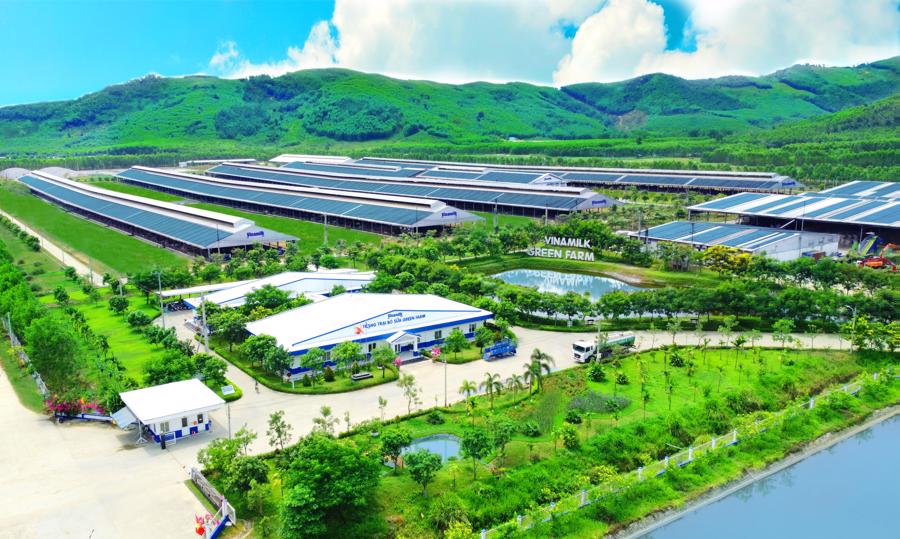 Trang trại sinh th&aacute;i Green Farm của Vinamilk tại T&acirc;y Ninh, Quảng Ng&atilde;i v&agrave; Thanh H&oacute;a l&agrave; m&ocirc; h&igrave;nh ti&ecirc;u biểu về n&ocirc;ng nghiệp bền vững.