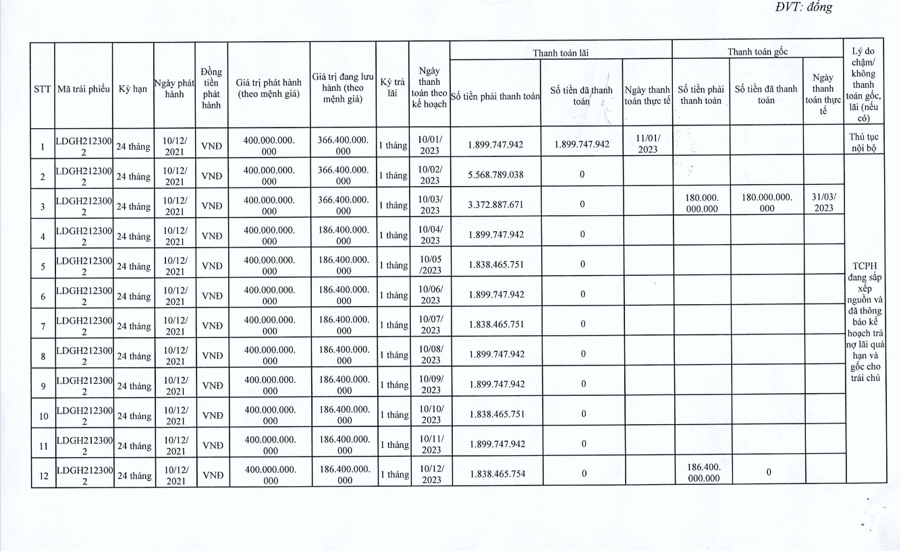 Đầu tư LDG báo cáo tình hình thanh toán gốc, lãi trái phiếu 6 tháng đầu năm 2024 - Ảnh 1