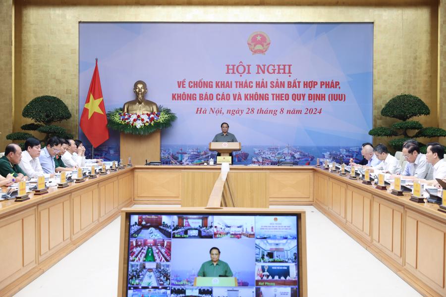 Quang cảnh hội nghị - Ảnh: VGP