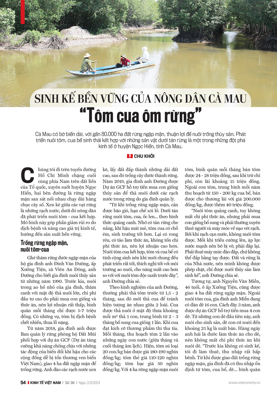 Sinh kế bền vững của nông dân Cà Mau: “Tôm cua ôm rừng” - Ảnh 7