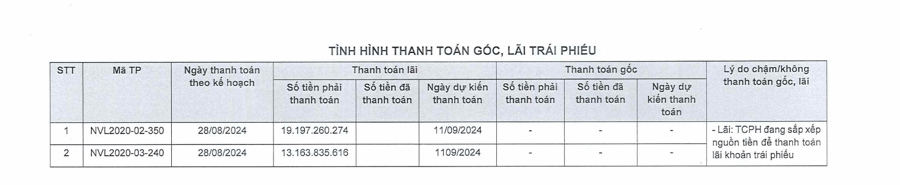 NVL tiếp tục xin gia hạn thanh toán gốc và lãi cùng lúc 4 lô trái phiếu - Ảnh 2