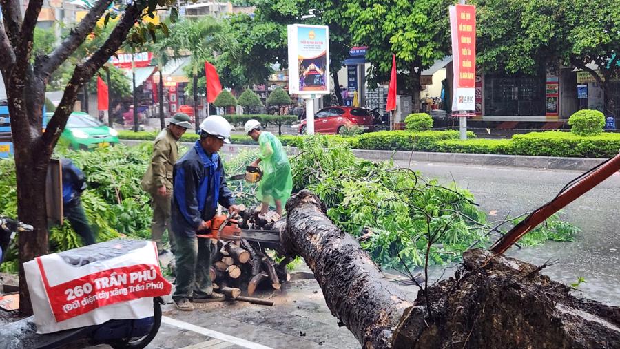 Lực lượng chức năng thực hiện xử l&yacute;, giải tỏa những c&acirc;y bị bật gốc, g&atilde;y đổ, nhằm đảm bảo an to&agrave;n cho người d&acirc;n v&agrave; giao th&ocirc;ng đi lại.