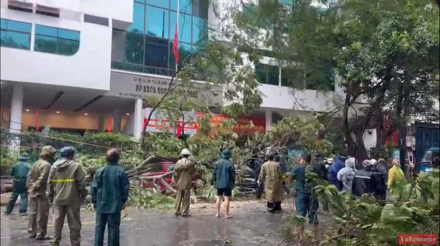 Hiện tại, TP Hải Ph&ograve;ng mưa to, gi&oacute; cấp 15, nhiều cột điện bị đổ v&agrave; to&agrave;n th&agrave;nh phố bị cắt điện. To&agrave;n bộ 100% qu&acirc;n số của đội đường d&acirc;y v&agrave; trạm biến &aacute;p ứng trực tại trụ sở đơn vị để sẵn s&agrave;ng ứng ph&oacute; khi c&oacute; lệnh khẩn cấp.