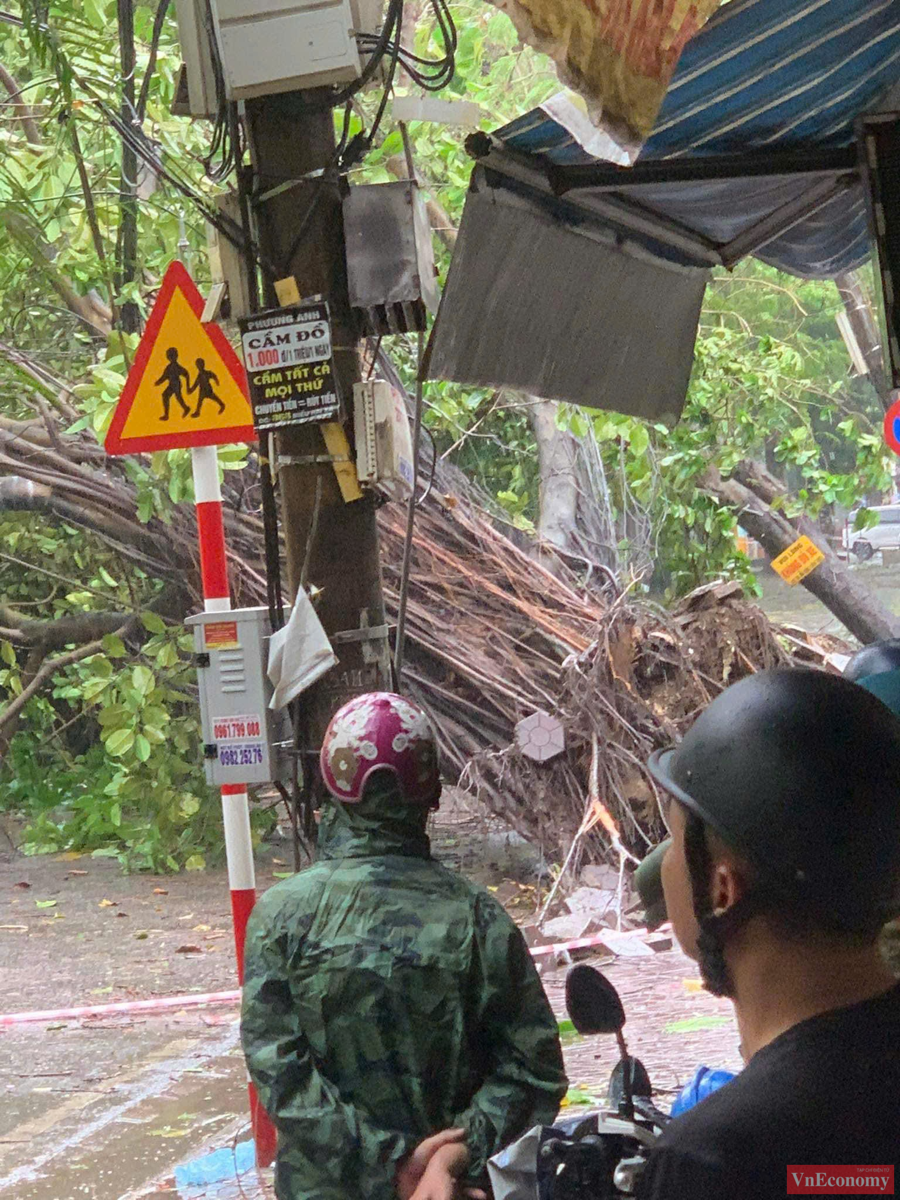 Theo b&aacute;o c&aacute;o nhanh của Điện lực Hải Ph&ograve;ng, b&atilde;o Yagi đổ bộ l&agrave;m 6 đường d&acirc;y 110kV bị ảnh hưởng, g&acirc;y mất điện to&agrave;n bộ huyện đảo C&aacute;t Hải. 50 đường d&acirc;y trung &aacute;p kh&aacute;c cũng bị ảnh hưởng khiến tr&ecirc;n 300.000 kh&aacute;ch h&agrave;ng bị mất điện.