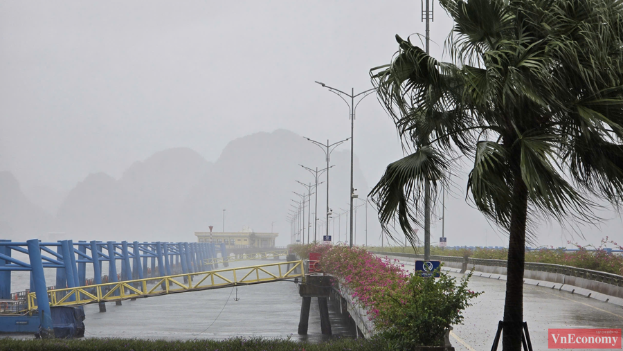 Khu vực biển V&acirc;n Đồn (Quảng Ninh), nhiều t&agrave;u bị đứt neo tr&ocirc;i dạt tr&ecirc;n biển. Gi&oacute; lớn giật tung n&oacute;c một số t&agrave;u, thuyền.