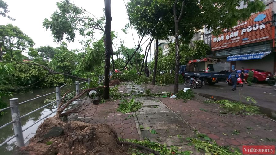 [Phóng sự ảnh]: Hà Nội sau bão, tiếc nuối nhìn cây xanh gãy đổ ngổn ngang - Ảnh 9