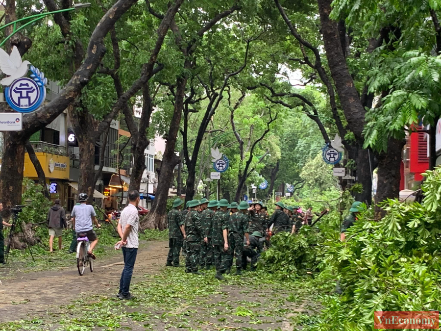 [Phóng sự ảnh]: Hà Nội sau bão, tiếc nuối nhìn cây xanh gãy đổ ngổn ngang - Ảnh 5