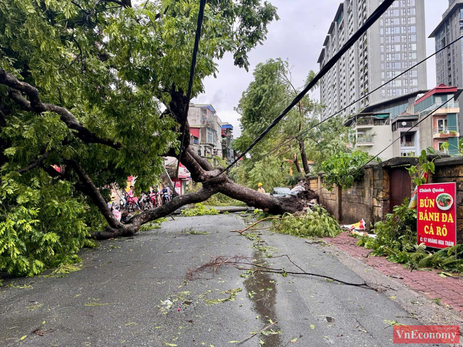 C&acirc;y đổ chắn ngang đường trước cửa một trường học tr&ecirc;n đường Ho&agrave;ng Hoa Th&aacute;m.