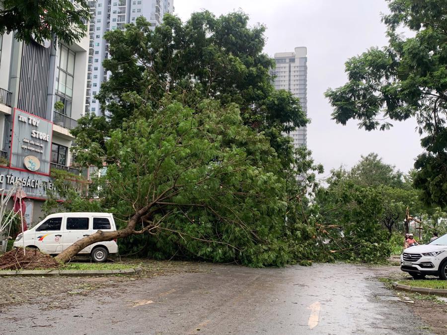 Nhiều tuyến đường ở H&agrave; Nội bị cản trở do c&acirc;y xanh đổ. Ảnh: VGP &nbsp;