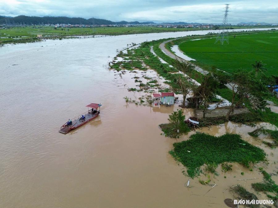 7 giờ ng&agrave;y 11/9, mực nước tr&ecirc;n s&ocirc;ng Th&aacute;i B&igrave;nh tại Phả Lại dưới mức b&aacute;o động III. Ảnh: B&aacute;o Hải Dương