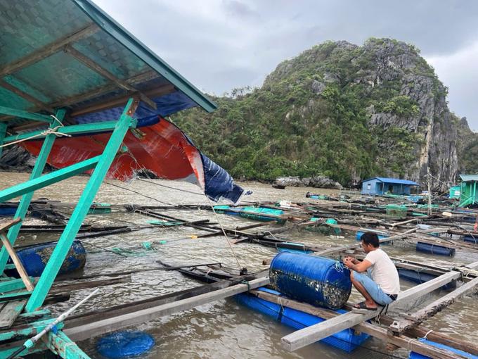 Chủ tịch Hội Thủy sản Việt Nam Nguyễn Việt Thắng: Nu&ocirc;i trồng thủy sản c&oacute; nơi thiệt hại 99% do b&atilde;o số Yagi, liệu c&oacute; "h&oacute;a giải" được bất lợi cho n&ocirc;ng d&acirc;n? Ảnh: Đinh Mười.