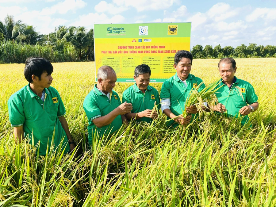 Dự án áp dụng theo quy trình sản xuất lúa giảm phát thải khí nhà kính được chứng nhận; dự án áp dụng mô hình kinh tế tuần hoàn; dự án sản xuất hữu cơ được chứng nhận; dự án liên kết sản xuất lúa theo chuỗi giá trị phải có diện tích 500 ha trở lên sẽ được ngân sách nhà nước hỗ trợ tối đa 40% nhưng không quá 15 tỷ đồng/dự án để mua sắm dây chuyền, thiết bị, công nghệ, bản quyền công nghệ.