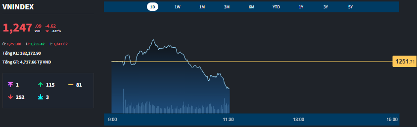 VN-Index thủng mốc 1250 điểm, depot 1xbet khoản bắt đầu tăng - Ảnh 1