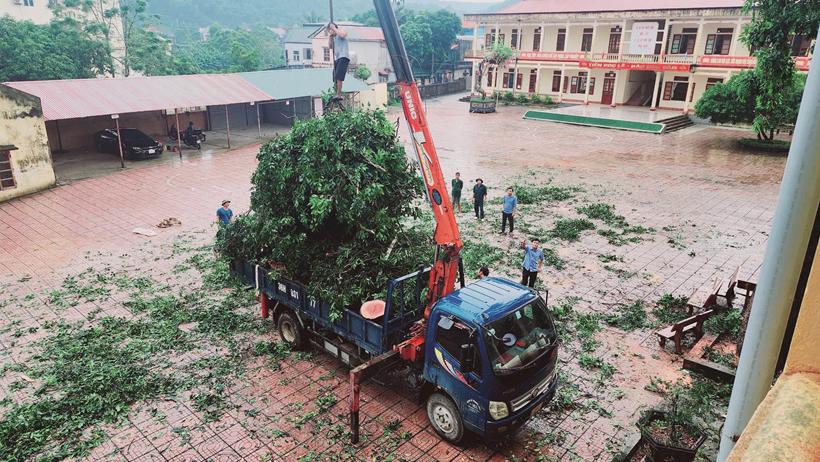 Nh&agrave; trường nhanh ch&oacute;ng xử l&yacute; c&agrave;nh c&acirc;y g&atilde;y để đưa những xe &ocirc; t&ocirc; bị hư hỏng ra ngo&agrave;i.