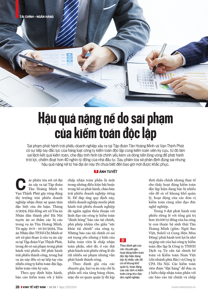 Bài 1: Hậu quả nặng nề do sai phạm của kiểm toán độc lập - Ảnh 1