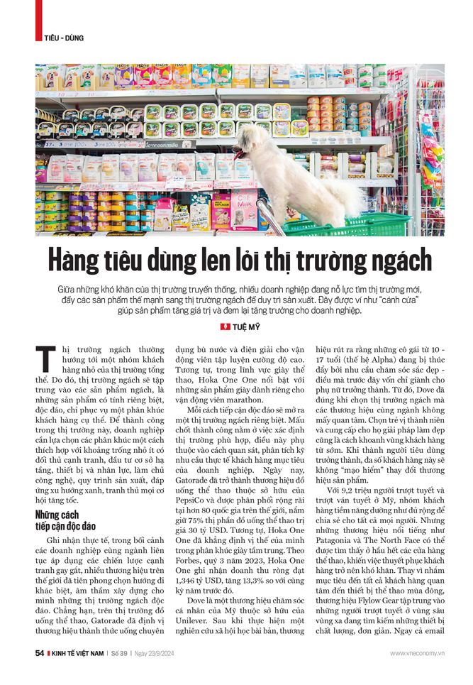 Hàng tiêu dùng len lỏi thị trường ngách - Ảnh 1