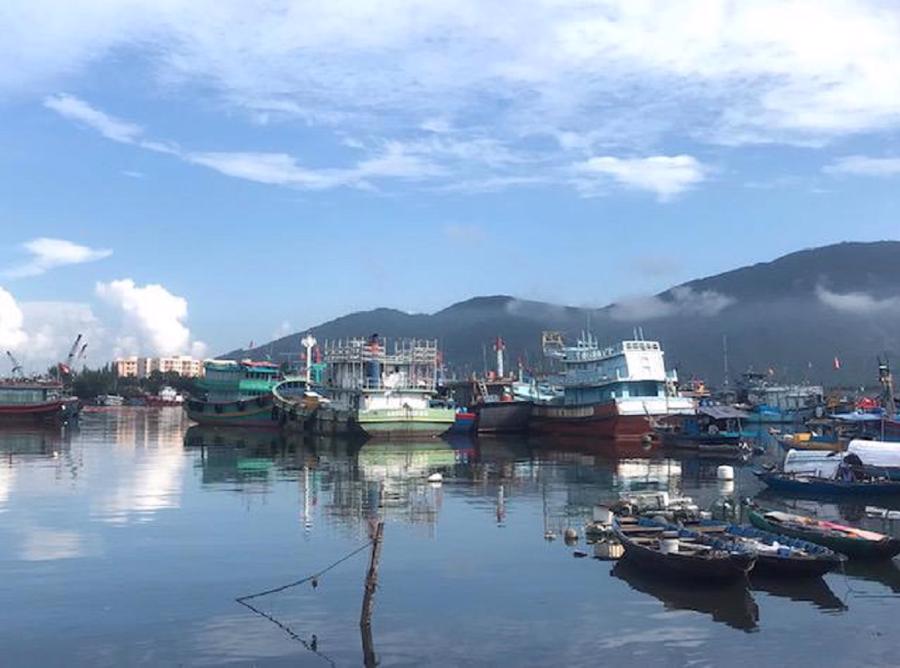 Ngư d&acirc;n th&agrave;nh phố Đ&agrave; Nẵng chấp h&agrave;nh nghi&ecirc;m quy định đưa t&agrave;u v&agrave;o bến kiểm tra nhật k&yacute; thu mua chuyển tải, nhật k&yacute; khai th&aacute;c, c&oacute; sự đối khớp với dữ liệu VMS&hellip; Ảnh: Ng&ocirc; Anh Văn.