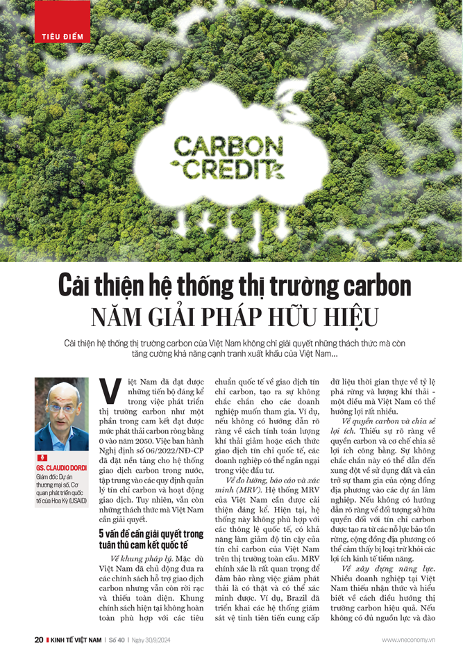 Các giải pháp cải thiện hệ thống thị trường carbon của Việt Nam - Ảnh 1