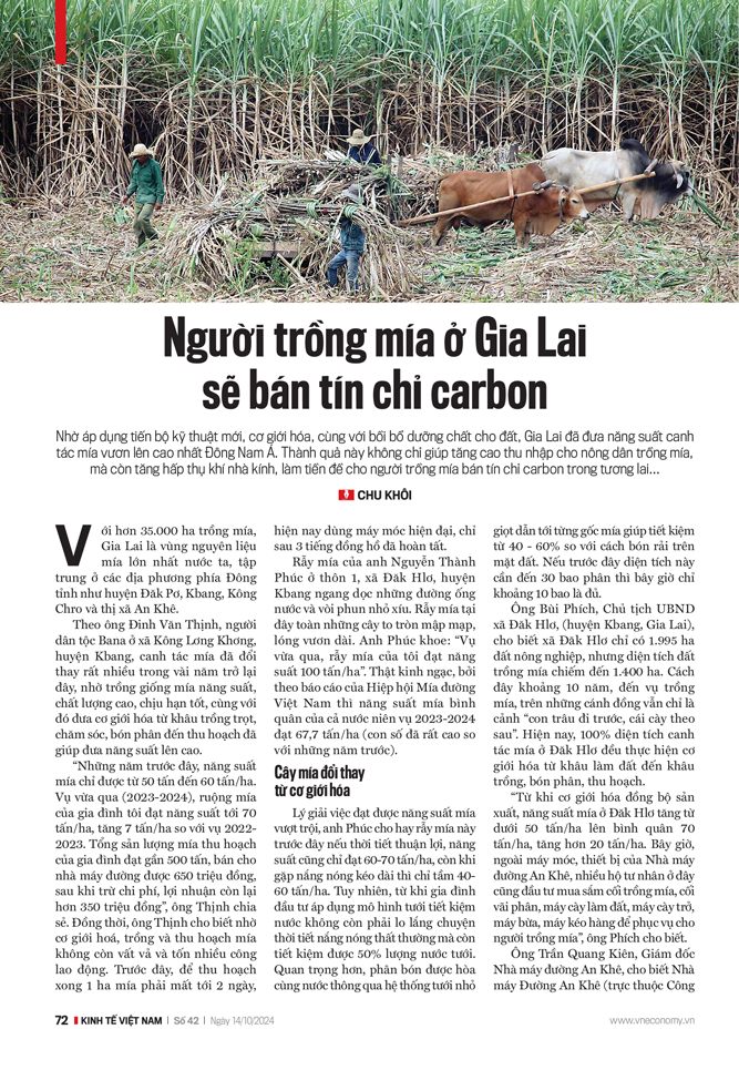 Người trồng mía ở Gia Lai hướng tới bán tín chỉ carbon - Ảnh 1