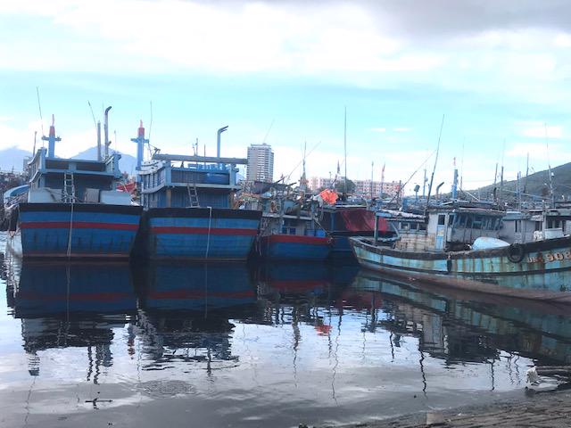 C&aacute;c t&agrave;u c&ocirc;ng suất lớn vươn khơi xa cũng về nơi tr&uacute; ẩn tại &Acirc;u thuyền Thọ Quang. Ảnh Ng&ocirc; Anh Văn