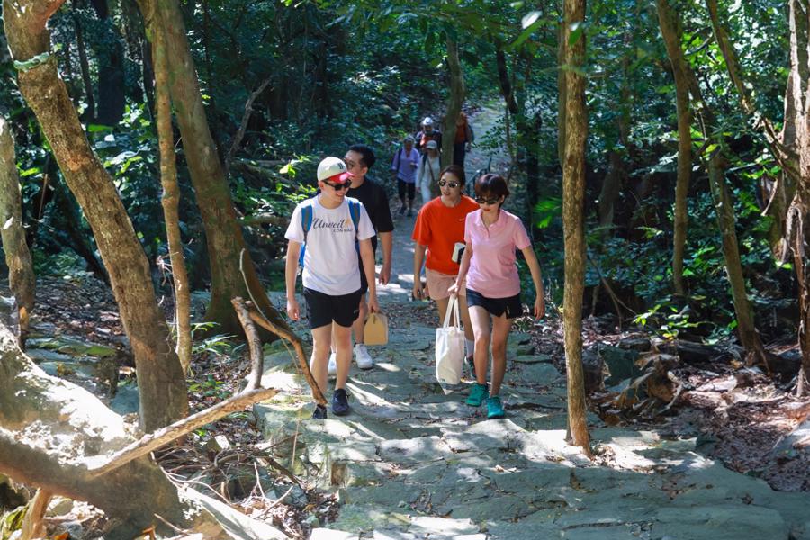 Hiện 2 tour trekking xuy&ecirc;n rừng nổi tiếng nhất tại C&ocirc;n Đảo l&agrave; Sở Rẫy v&agrave; Th&aacute;nh Gi&aacute;.