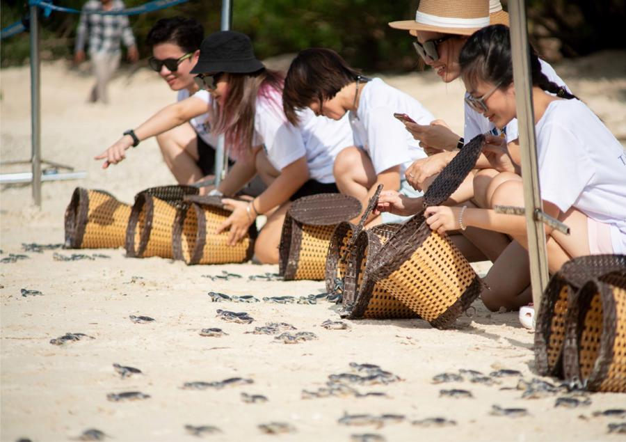 Kinh tế tuần ho&agrave;n được chọn l&agrave; giải ph&aacute;p để ph&aacute;t huy c&aacute;c thế mạnh cũng như giải quyết c&aacute;c th&aacute;ch thức của C&ocirc;n Đảo.