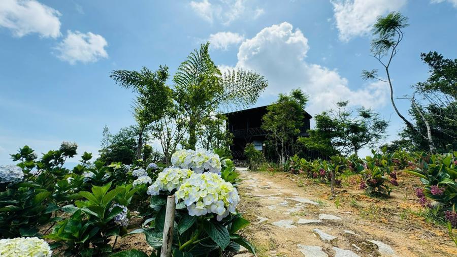 Một trong những sản phẩm du lịch đặc trưng hiện nay của Kh&aacute;nh H&ograve;a l&agrave; tour "Theo dấu ch&acirc;n b&aacute;c sĩ Yersin".