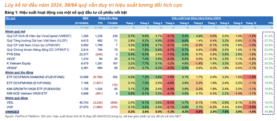 Hàng chục quỹ cổ phiếu hiệu suất âm trong tháng 10, giảm mạnh hơn cả VN-Index - Ảnh 1