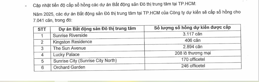 Novaland tiếp tục chậm thanh toán lãi 2 lô trái phiếu - Ảnh 3