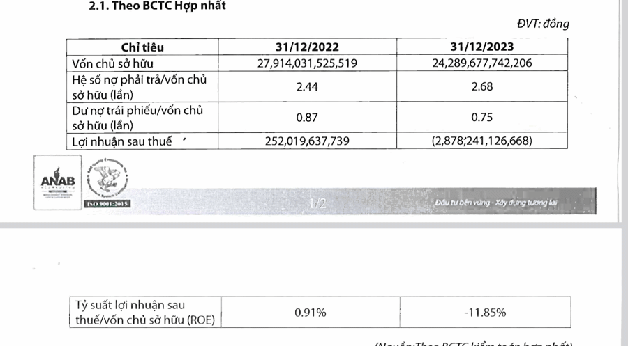 Năm 2023, Trung Nam Group báo lỗ 2.878,2 tỷ đồng  - Ảnh 2