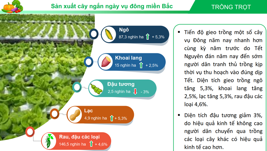 Xuất khẩu nông lâm thuỷ sản đã lập kỷ lục 56,7 tỷ USD - Ảnh 8