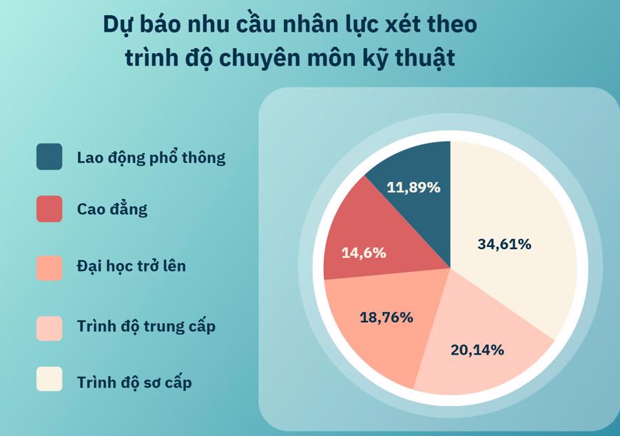 Dự b&aacute;o nhu cầu nh&acirc;n lực TP.HCM năm 2025 x&eacute;t theo tr&igrave;nh độ chuy&ecirc;n m&ocirc;n kỹ thuật.