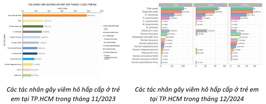 C&aacute;c t&aacute;c nh&acirc;n g&acirc;y vi&ecirc;m h&ocirc; hấp ở trẻ tại TP.HCM. Nguồn: Sở Y tế TP.HCM.