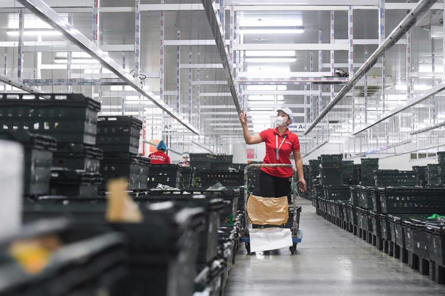 A logistics staff at WinCommerce check the automatic goods sorting system at the Supra warehouse. Photo: WinCommerce