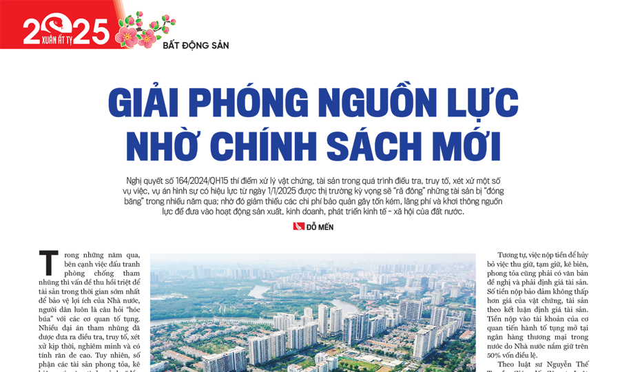 Giải phóng nguồn lực nhờ chính sách mới - Ảnh 1