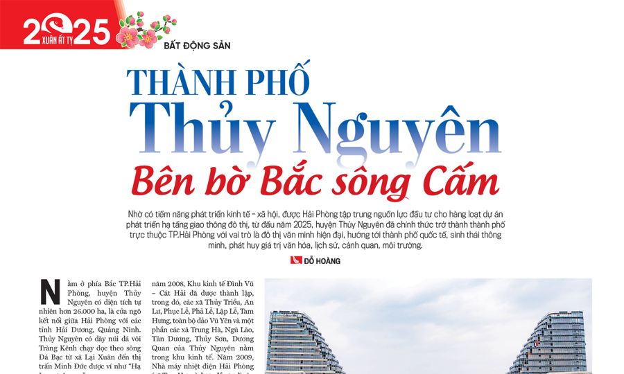 Thành phố Thủy Nguyên bên bờ Bắc sông Cấm - Ảnh 1