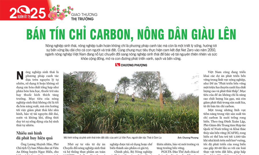 Bán tín chỉ carbon, nông dân giàu lên  - Ảnh 1