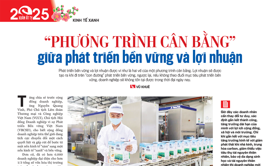 “Phương trình cân bằng” giữa phát triển bền vững và lợi nhuận - Ảnh 1