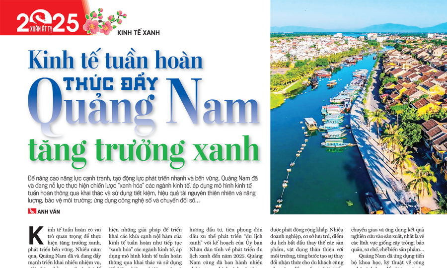 Kinh tế tuần hoàn thúc đẩy Quảng Nam tăng trưởng xanh - Ảnh 1