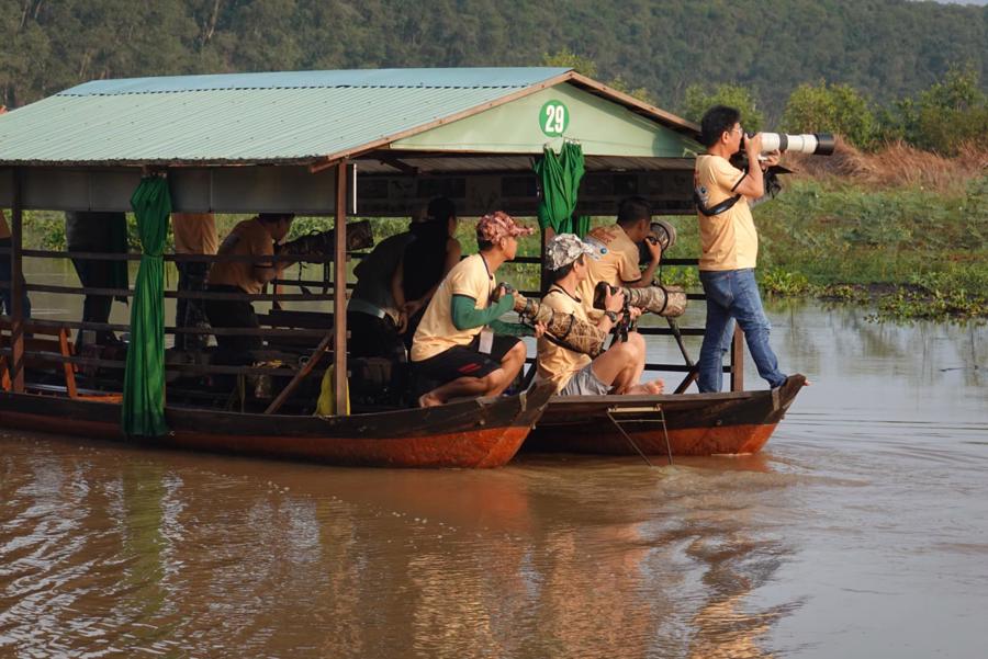 Nếu so s&aacute;nh về tiềm năng (số lượng lo&agrave;i chim), hiện Việt Nam đứng thứ 3 trong khu vực Đ&ocirc;ng Nam &Aacute; với hơn 950 lo&agrave;i.