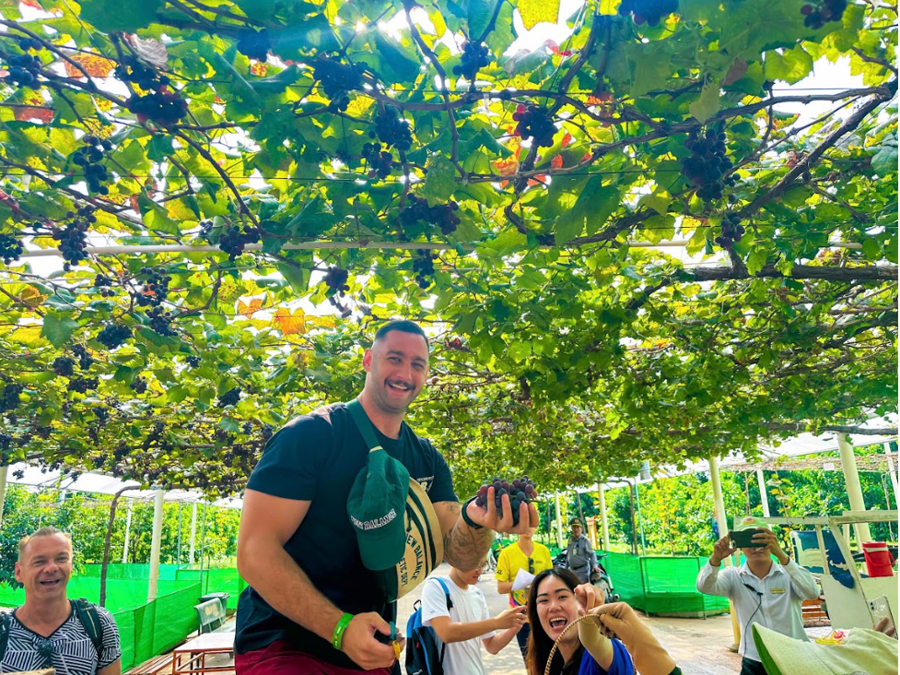 The Grape Garden is a key attraction at Suoi Tien Farm &nbsp;