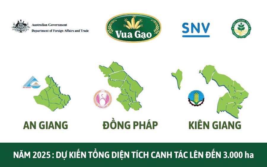 Tiếp bước hành trình xanh: Vua Gạo mở rộng quy mô dự án TRVC trong năm 2025 - Ảnh 1