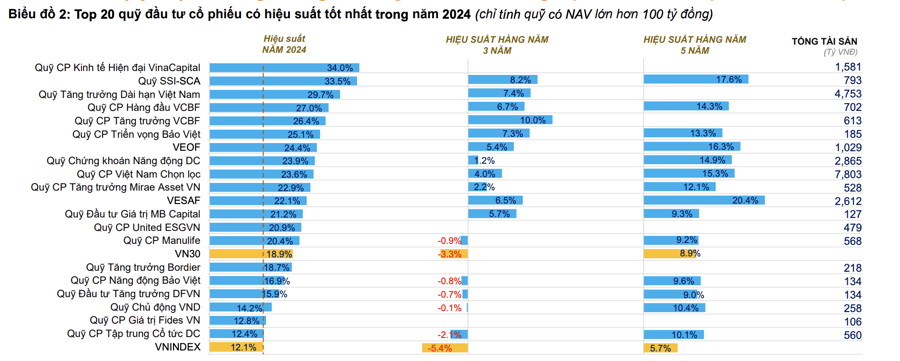 Bị rút ròng kỷ lục trong năm 2024, nhiều quỹ cổ phiếu hiệu suất vẫn tăng gấp đôi, gấp ba VN-Index  - Ảnh 1